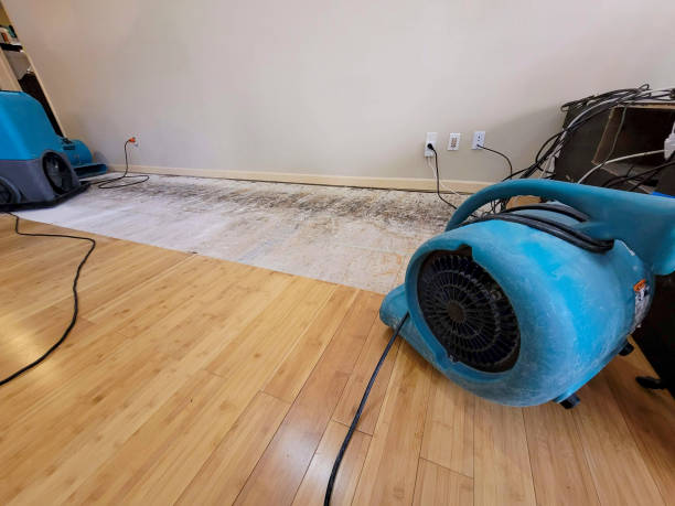 Professional Sewage Cleanup technician working in Pioneer, OH